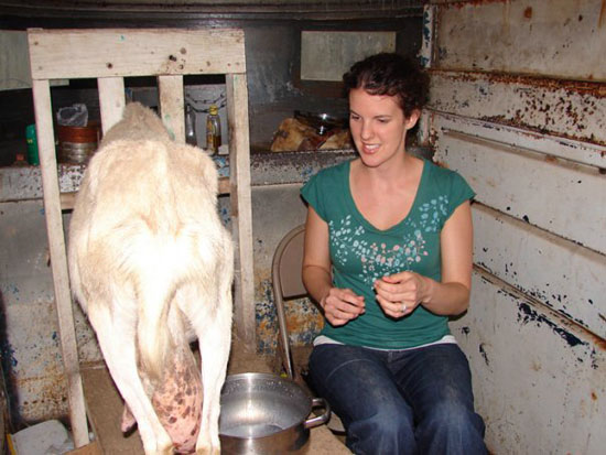 doris goat