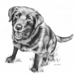 Charcoal Portrait of Ebby Charcoal Portrait of Ebby
