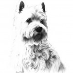 Charcoal Portrait of Michie Charcoal Portrait of Michie