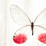Pink Glasswing Butterfly Oil Painting